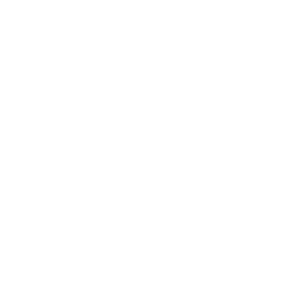 Icon Comprehensive SEO Strategy