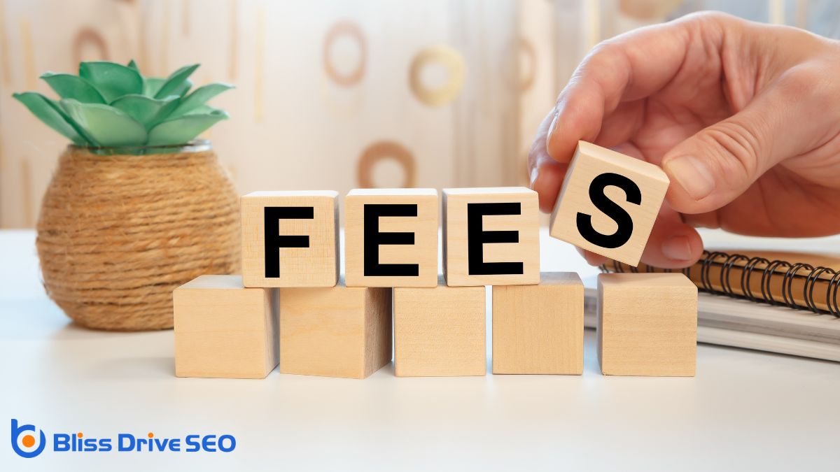 Project-Based SEO Fees