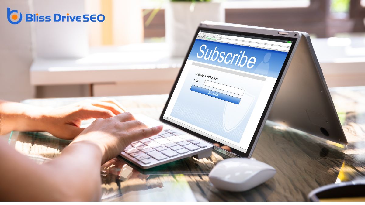 Types of SEO Subscriptions